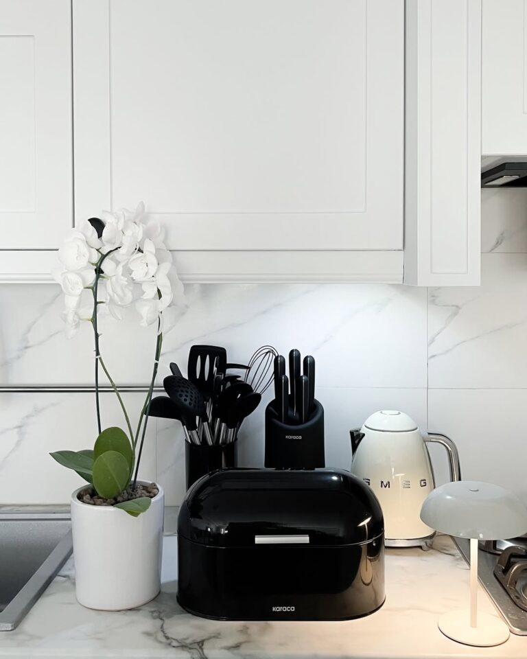 496957395_17945630498979222_8169121847189952785_n