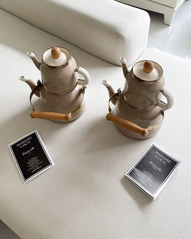 instasave.website_483607242_17938967438979222_4300868479125682263_n